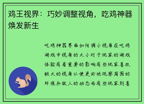 鸡王视界：巧妙调整视角，吃鸡神器焕发新生